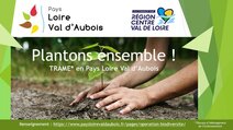 Plantons ensemble !